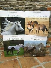 Lot livres chevaux d'occasion  La Tour-du-Pin