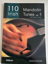 110 irish mandolin gebraucht kaufen  Naumburg
