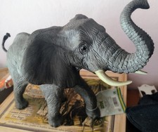 African elephant mother usato  Milano