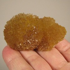 2.5 golden yellow for sale  Acworth
