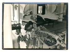 1920s 1930s photo for sale  Des Moines
