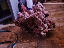 8lbs live rock for sale  Manzanola