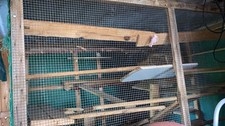 Große voliere vogel gebraucht kaufen  Olching