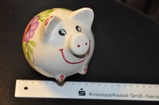 sparschwein kunststoff gebraucht kaufen sparschwein kunststoff gebraucht kaufen Friedrichsdorf