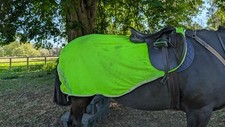 Hiviz exercise sheet for sale  BRANDON