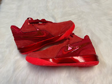 Tênis Nike Zoom Lebron NXXT Gen Ampd James Gang vermelho tamanho 8.5 FJ1566-600, usado comprar usado  Enviando para Brazil