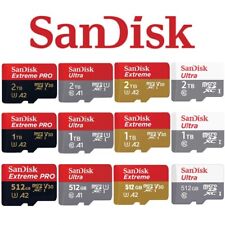 Sandisk extreme pro usato  Spedire a Italy