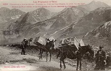 Postcard transport with d'occasion  Expédié en Belgium