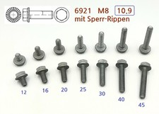 10x schraube flansch gebraucht kaufen  Hattingen