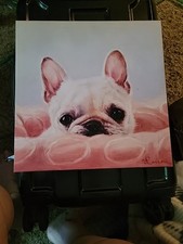 Puppy french bulldog for sale  Chesterton
