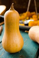 Semi zucca violina usato  Ischia