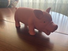 Maialino grugnino gioco usato  Caravate