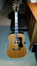Guild d55nt acoustic for sale  North Las Vegas