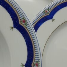 Haviland limoges louisianne usato  Roma