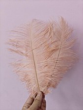 Peach nude ostrich for sale  SLOUGH