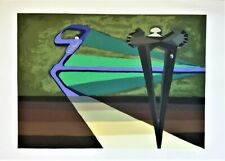 Raccagni andrea serigrafia usato  Preganziol