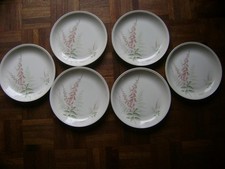 Vintage staffordshire set for sale  BORDON