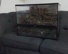 Exo terra vivarium for sale  BASILDON