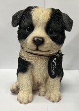 Sheep dog border for sale  NEWCASTLE UPON TYNE