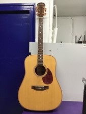 Freshman fa250d acoustic for sale  CLYDEBANK