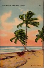 Trade winds miami for sale  Scotland