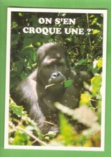 Photo carte postale d'occasion  Buxerolles