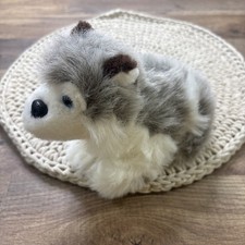 Husky puppy dog for sale  Warwick