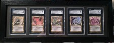 Nicol bolas elder for sale  Charlotte