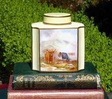 Worcester handpainted cattle for sale  BRIDGNORTH