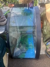 Jewel corner fish for sale  TRURO