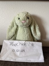 Jellycat bashful kiwi for sale  Saint Paul