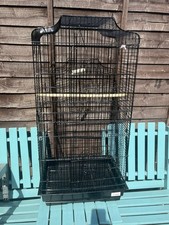 Small large bird for sale  PETERBOROUGH