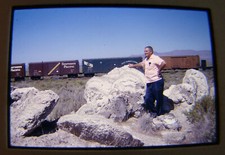 1960s railroad cars for sale  Ferndale