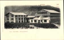 Peradeniya ceylon tee gebraucht kaufen  Berlin