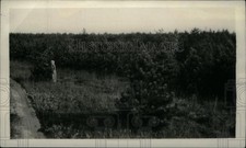 1928 press photo for sale  Memphis