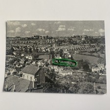 Stroud gloucestershire buttero for sale  SHREWSBURY