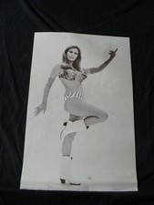 Raquel welch poster for sale  Rockford