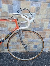 1977 vintage rosa usato  Roma