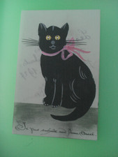 pipolino chat d'occasion pipolino chat d'occasion Cholet