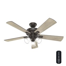 Hunter fan traditional for sale  Carol Stream