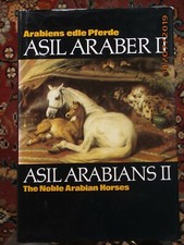 Asil araber sammlerstück gebraucht kaufen  Mönchengladbach