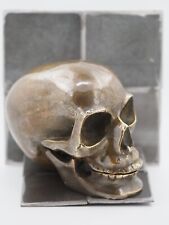 Anatomical skull gothic for sale  KING'S LYNN