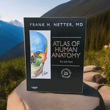 atlas anatomia humana netter comprar usado atlas anatomia humana netter comprar usado Enviando para Brazil