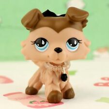 Mini pet shop for sale  Las Vegas