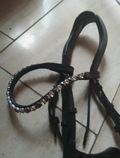Anatomische trense warmblut gebraucht kaufen  Dülmen