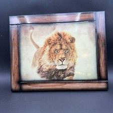 Framed lion art for sale  Staten Island
