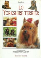 Yorkshire terrier usato  Italia