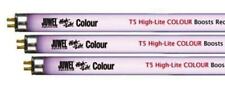 Neon high lite usato  Giovinazzo