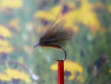 Trockenfliege cdc brown gebraucht kaufen Trockenfliege cdc brown gebraucht kaufen  Brigachtal