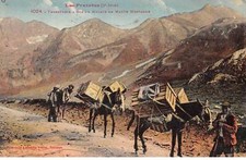 Pyrenees san64010 transports d'occasion  France
